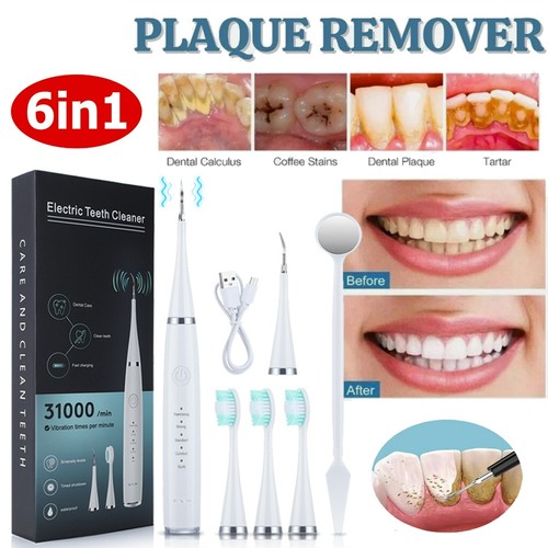 Electric dental scaler tartar - dental,